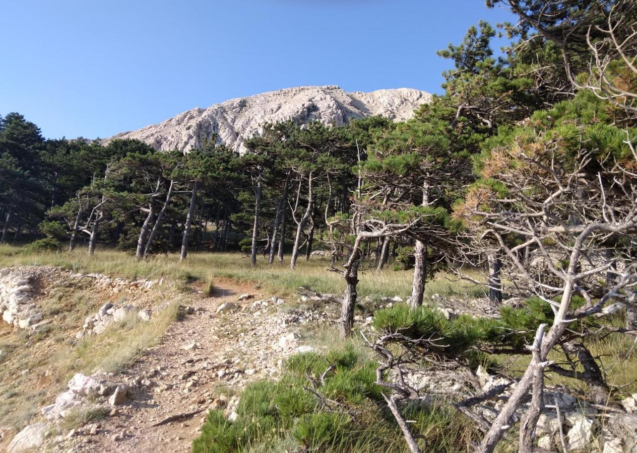 Apartmani Baska S Pogledom Na More Esterno foto